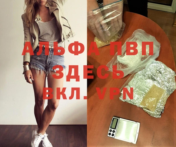 гидра Шадринск