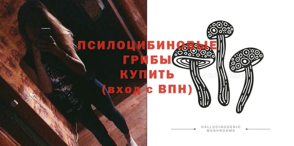 соль ск Шали