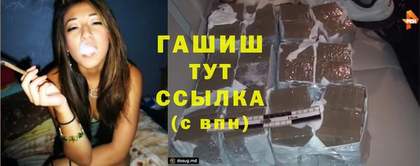 гидра Шадринск