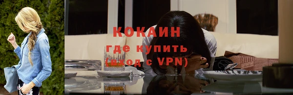 гидра Шадринск
