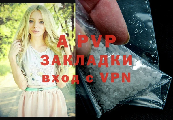 соль ск Шали