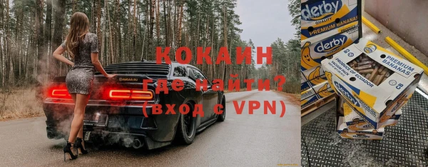 соль ск Шали