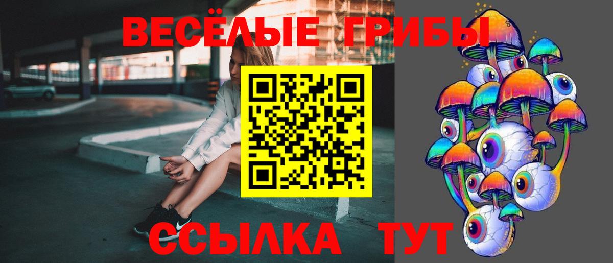 Абинск  Псилоцибиновые грибы MAGIC MUSHROOMS  Вход с VPN  Псилоцибиновые грибы Psilocybe 
